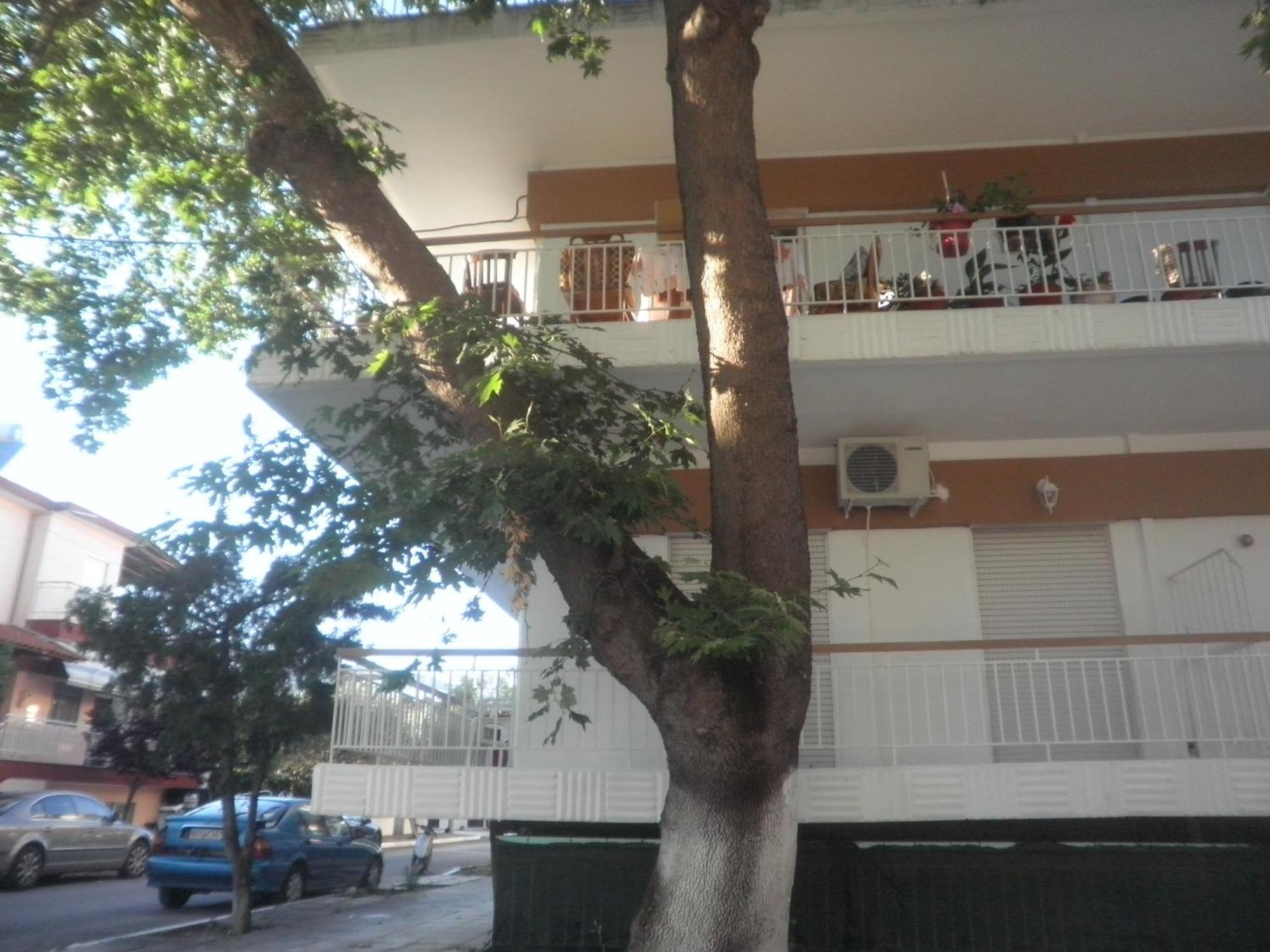 Apartments Anesis Pantazis อัสโปรวาลตา ภายนอก รูปภาพ